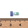 Glass 2-Hole Baking Paint Glass Seed Beads GLAA-G130-01E-4