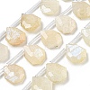 Natural Rainbow Moonstone Beads Strands G-P544-C04-01-1