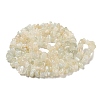 Natural White Moonstone Beads Strands G-P332-01-4