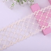 Polyester Lace Trim Ribbons PW-WG34220-03-1-1