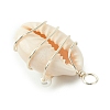 Natural Cowrie Shell Copper Wire Wrapped Pendants PALLOY-TA00196-02-5