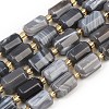 Natural Botswana Agate Beads Strands G-P611-A01-01-2