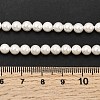 Electroplated Shell Pearl Beads Strands BSHE-K017-5mm-4