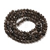 Natural Silver Sheen Obsidian Beads Strands G-E608-A02-B-2