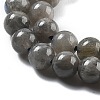 Natural Labradorite Beads Strands G-S333-6mm-035-01-3