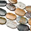 Natural Ocean Agate/Ocean Jasper Beads Strands G-H335-C03-5