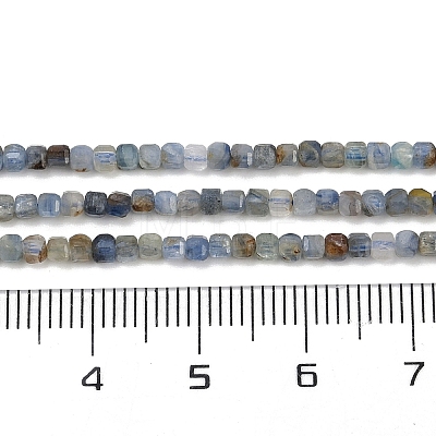 Natural Kyanite Beads Strands G-B088-E24-02-1