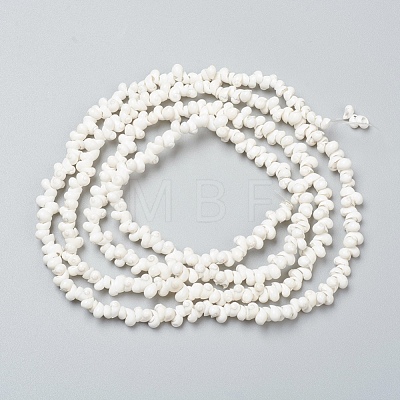 Natural Spiral Shell Beads Strands BSHE-I011-11C-1
