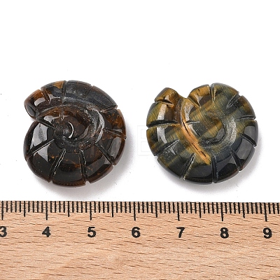 Natural Tiger Eye Conch Display Decorations DJEW-D303-01A-1