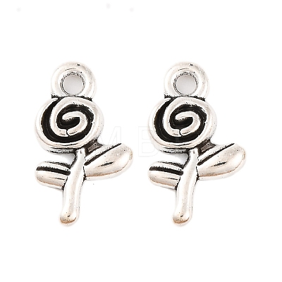 Great Valentines Day Gift Ideas Tibetan Style Alloy Charms LF10736Y-1