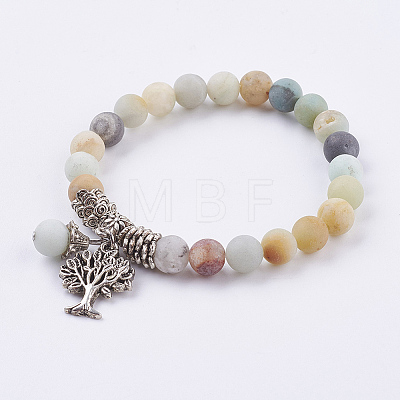 Natural Amazonite Stretch Bracelets BJEW-F262-A09-1