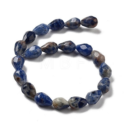 Natural Sodalite Beads Strands G-P520-B23-01-1