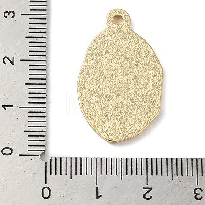 Zinc Alloy Enamel Pendants ENAM-Z013-01C-02-1