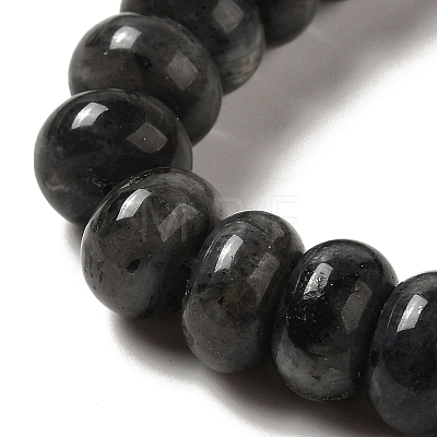 Natural Larvikite Beads Strands G-G102-C03-01-1