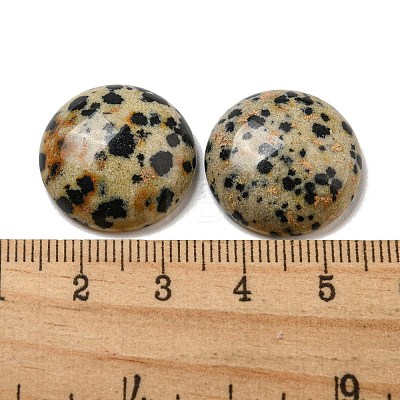 Natural Dalmatian Jasper Cabochons G-C115-02A-21-1