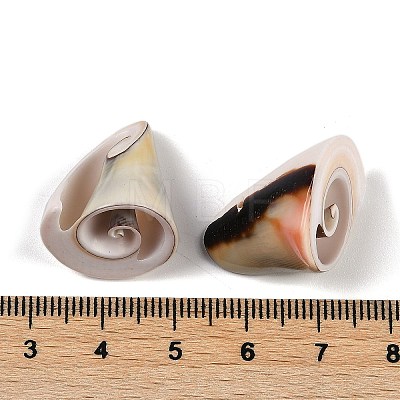 Natural Shiva Eye Shell Beads SHEL-K009-17E-1