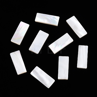 Natural White Shell Cabochons SSHEL-T017-07-1