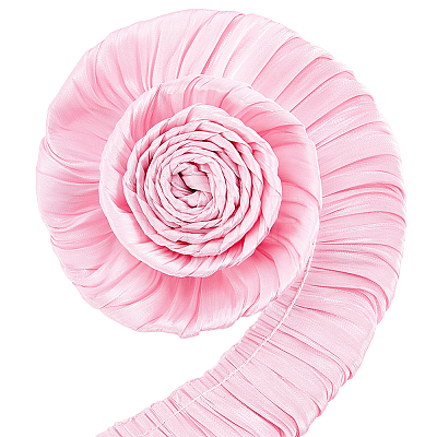 5M Double Layer Polyester Pleated Lace Ribbon OCOR-CY0003-97A-1