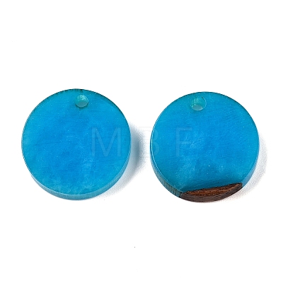 Opaque Resin Pendants RESI-T058-03B-1