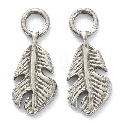 304 Stainless Steel Charms STAS-P279-31P-1