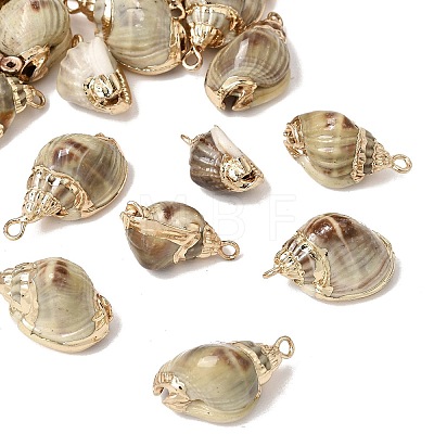 Brass & Natural Shell Pendants SH-CBA27C9-07-1
