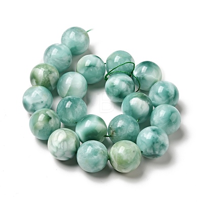Natural Glass Beads Strands G-I247-32H-1
