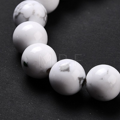 Synthetic Howlite Beads Strands G-E568-04B-1