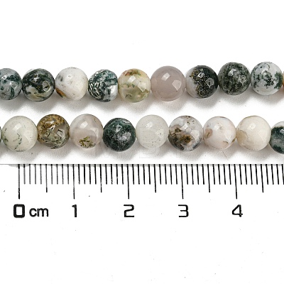 Natural Tree Agate Round Gemstone Beads Strands G-R255-6mm-1