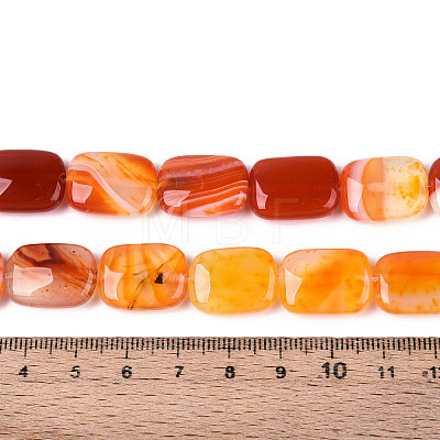 Natural Agate Beads Strands G-N356-03A-17-1