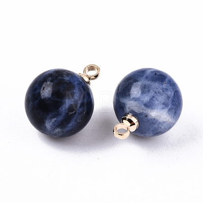 Natural Sodalite Charms G-N332-024G-08-1