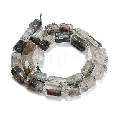 Natural Green Lodolite Quartz/Garden Quartz/Green Phantom Quartz Beads Strands GG-CBAC61B-D02-01-1
