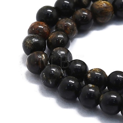 Natural Biotite Beads Strands G-P457-C01-01-1