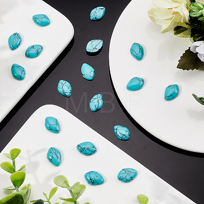 Synthetic Turquoise Cabochons TURQ-AR0001-11-1