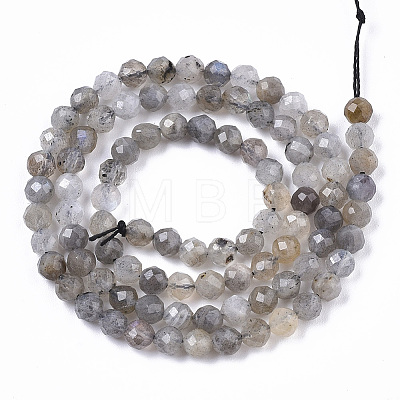 Natural Labradorite Beads Strands G-R462-014-1