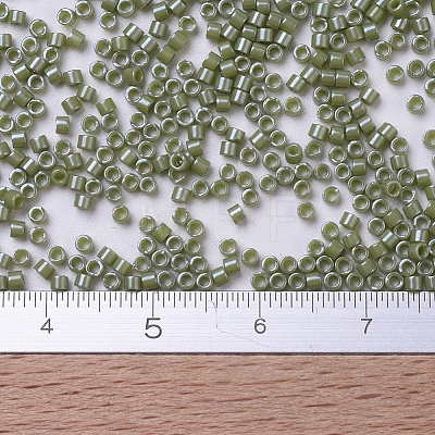 MIYUKI Delica Beads X-SEED-J020-DB0263-1