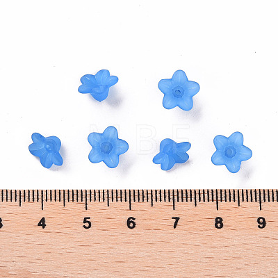 Transparent Acrylic Beads PL554-09-1