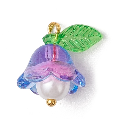 Glass Pendants PALLOY-MZ00837-02-1