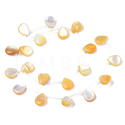 Natural Yellow Shell Beads Strands SSHEL-S278-117-1