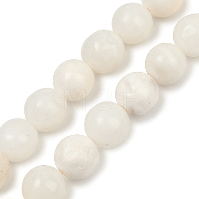 Natural White Shell Beads Strands BSHE-U001-01E-1