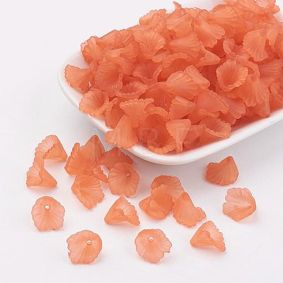Transparent Acrylic Beads LS-PL622-C12-1