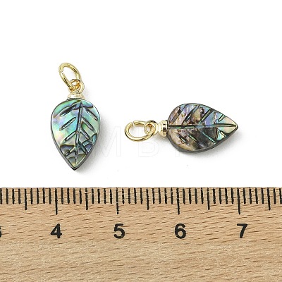 Natural Paua Shell/Abalone Shell Carved Pendants PALLOY-JF05615-01-1