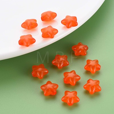 Transparent Acrylic Beads MACR-S373-26E-02-1