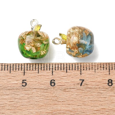 Resin Pendants RESI-I356-02-1