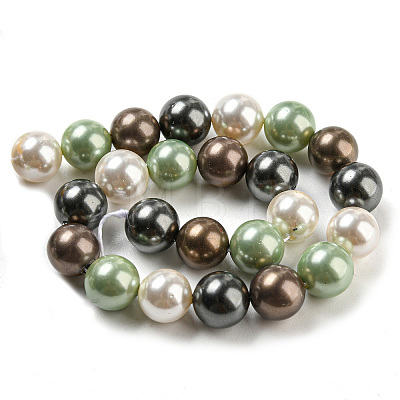 Polished Shell Pearl Bead Strands BSHE-F013-07D-1