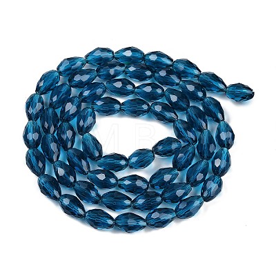Transparent Glass Beads Strands LS-EGLA-N013-T10mm-D25-1