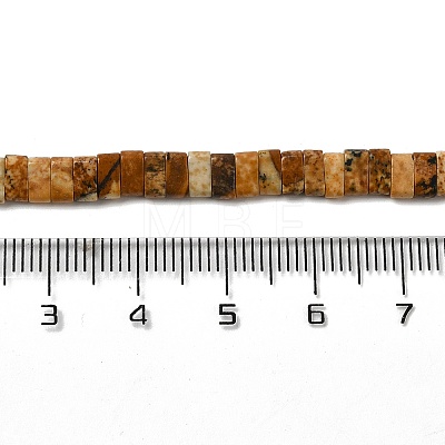 Natural Picture Jasper Beads Strands G-Z045-A09-01-1