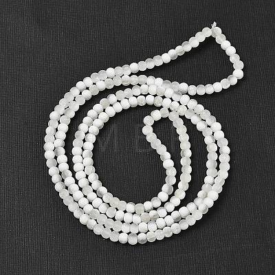 Frosted Crackle Glass Beads Strands GLAA-U001-4mm-M07-1