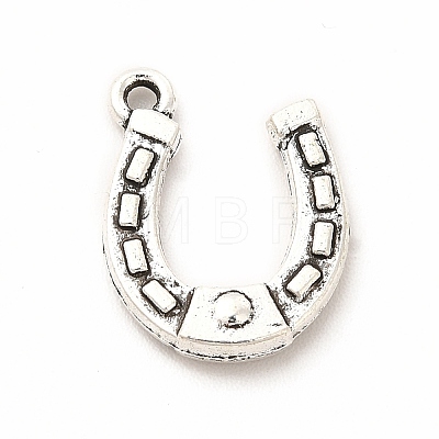 Tibetan Style Alloy Pendants LS-PALLOY-B012-01E-AS-1