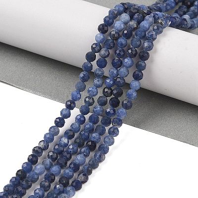 Natural Sodalite Beads Strands G-B088-C25-04-1