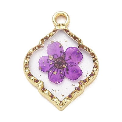Alloy Epoxy Resin Pendants AL-Z001-08G-05-1